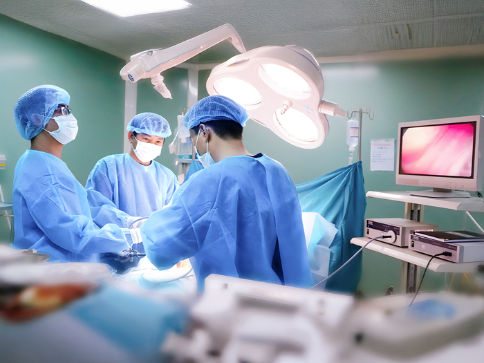 Department Heads and Deputy Heads directly perform procedures for overseas clients