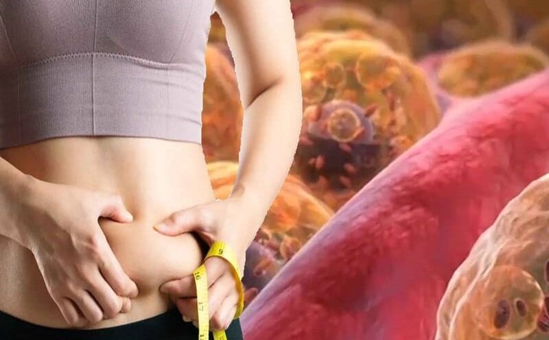 The amount of excess fat is excreted through the excretory system